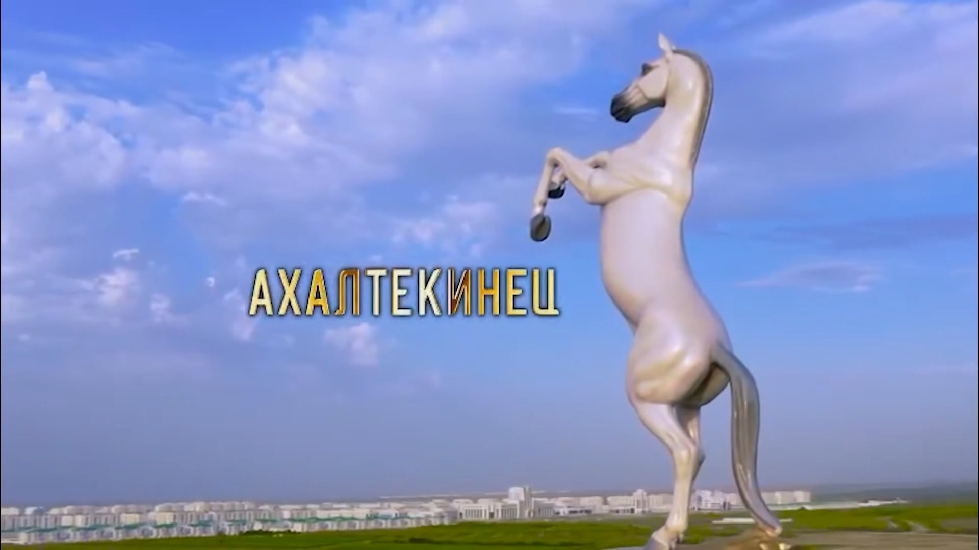 Niderlandlar Patyşalygynda geçiriljek ahalteke atlarynyň arasynda atly sport we gözellik bäsleşiginiň dünýä çempionaty